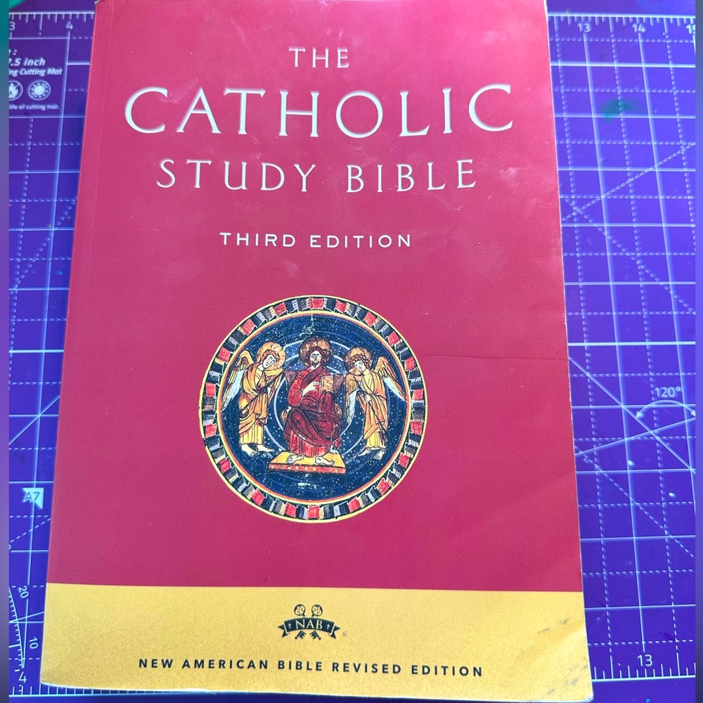 COPY - The Catholic Study Bible book third edition